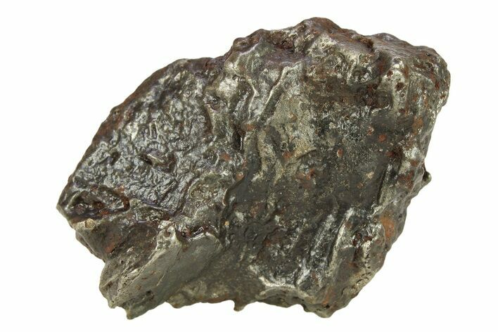 Sikhote-Alin Iron Meteorite Shrapnel ( g) - Russia #287742